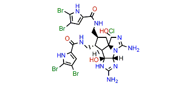 Axinellamine A
